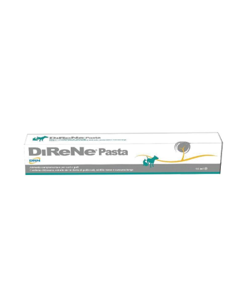 Direne-pasta-15ml.png